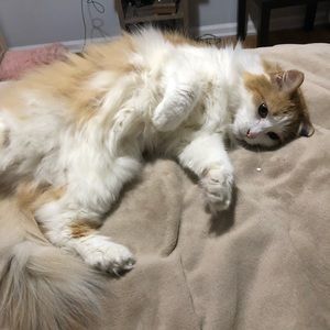 Meet your Posher, Alexandra